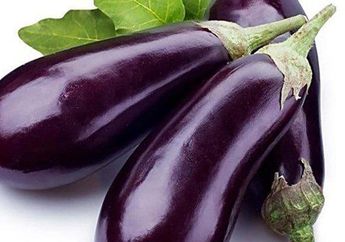 Jangan Anggap Remeh, Ternyata Makan Terong Mentah Bisa Memberikan Efek Buruk Bagi Kesehatan, WASPADA!
