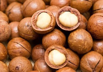 Jangan Anggap Remeh, Ternyata Kacang Kenari Miliki Manfaat Luar Biasa Sebagai Obat Kuat Alami