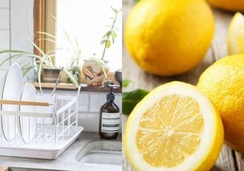 Sering Kali Dibuang, Coba Taruh Irisan Lemon Bekas di Atas Rak Piring, Perubahan Tak Terduga Ini Akan Terjadi