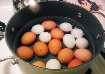 Iseng-Iseng Merebus Telur Selama 10 Detik, Seorang Ibu Rumah Tangga Malah Terkejut Saat Lihat Hasil Luar Biasa Ini