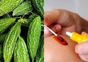 Viral Orang Minum Air Rebusan Pare dan Obat Merah Untuk Menetralkan Racun dan Obat Alami Kolestrol, Apakah Aman?