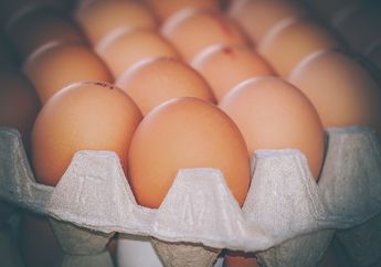 Cek Kulkas Anda Sekarang! Segera Buang Kalau Temukan Telur dengan 5 Ciri Ini, Sering Dijual Pedagang Nakal