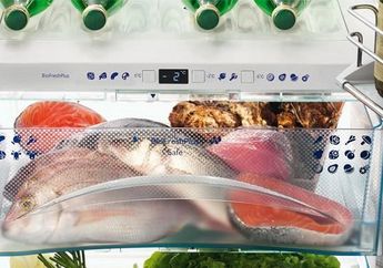 Cara Menyimpan Ikan Agar Tetap Segar Sampai 5 hari, Rahasianya Ada Pada 3 Langkah Ini