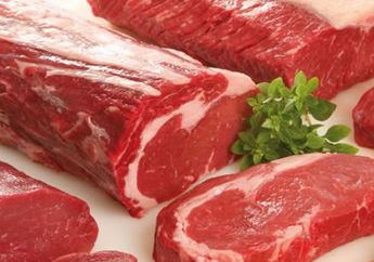 Bisa Hemat Listrik, Begini Tips Simpan Daging Tanpa Pakai Freezer! Dijamin Awet dan Tetap Segar dengan 4 Cara Ini