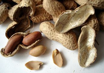 Sering Makan Kacang Tanah Sebagai Camilan, Katakan Selamat Tinggal pada Keriput dan Deretam Penyakit Berbahaya ini