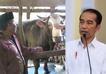 Bak Ketiban Durian Runtuh, Peternak Asal Sulawesi Barat Ini Panen Uang Usai Sapi Kesayangannya Seberat 1,2 Ton Dibeli Jokowi dengan Harga Fantastis: Senang Rasanya Kalau yang Beli Presiden!