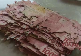 Heboh Foto Tumpukan Uang Rp 100 Ribu Dimakan Rayap, Pihak Keluarga Beberkan Kronologinya, Lantas Bisakah Ditukar Baru?