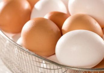 Anaknya Makan Telur Ayam Setiap Hari, Ibu Rumah Tangga ini Terkejut Melihat Kondisi Tubuh Sang Anak, Gak Nyangka!