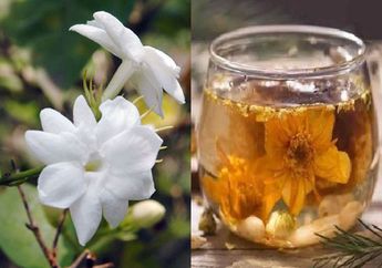 Rutin Minum Air Rendaman Bunga Melati Setiap Hari, Siapa Sangka Ampuh jadi Obat Alami Berbagai Penyakit ini, Pantas Disukai Mendiang Suzanna
