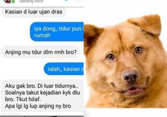Ngakunya Cuma Coba-coba Gegara Nonton Video Panas, Pria Ini Nekat Setubuhi Anjing Peliharannya Berkali-kali Padahal Istri Lagi Hamil di Rumah, Begini Nasibnya Sekarang