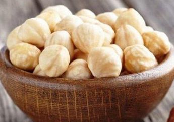 Jadi Bumbu Andalan saat Memasak, Siapa Sangka Kemiri Bisa Jadi Racun Jika Dikonsumsi dengan Cara Ini