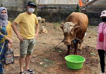 Jumlah Hewan Kurban Lebih Banyak Dibanding Sebelum Corona, Raffi Ahmad Malah Kasih Respon Begini Saat Dibisiki Amy Qanita: Katanya Lebih Berat dari Sapi Jokowi
