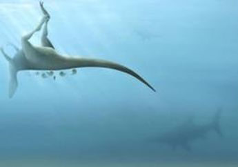 Ilmuwan Temukan Fosil Spesies yang Masih Berkaitan dengan T. Rex