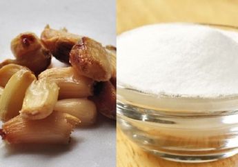 BERITA TERPOPULER: Manfaat Makan 6 Siung Bawang Putih Panggang dalam Sehari Sampai Manfaat Meletakkan Baking Soda di Kulkas