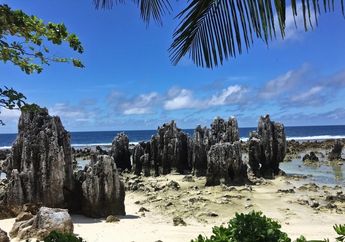 Dulu Leha-leha Jadi Negara Terkaya, Kini Nauru Harus Ngemis-ngemis Bantuan Australia Tiap Bulan