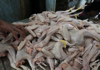 Cara Memasak Ayam Kampung Agar Empuk, Pastikan Lakukan Hal Mudah Ini Sebelum dan Saat Mengolahnya