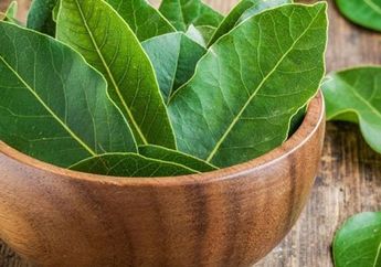Wajib Dicoba, Cuma Bakar Daun Salam di Dalam Rumah Bisa Membuat Tubuh Merasakan Hal Fantastis ini dalam Sekejap Saja!