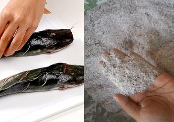 Cara Mudah Membersihkan Ikan Lele Agar Tidak Berlendir Saat Dimasak, Rahasianya Ada Pada 1 Bahan Ini