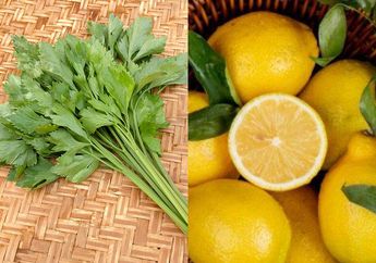 Coba Rebus Seledri dan Air Lemon Lalu Minum pada Pagi Hari, Rasakan Manfaatnya yang Tak Main-main ini!