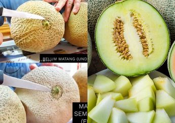 Cara Memilih Melon yang Paling Manis, Berair dan Pas Matangnya! Cuma Perlu Lihat Satu Bagian Ini Saja