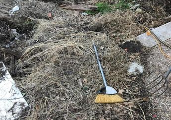 Jangan Kaget Bisa Untung Besar, Pria Ini Temukan Harta Karun Usai Membeli Rumah Kumuh Lengkap dengan Sampah di Dalamnya, Ternyata...