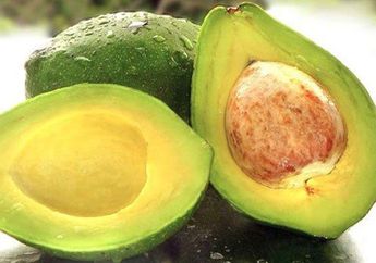 Terungkap Cara Pedagang Buah Memilih Alpukat yang Matang Sempurna, Tidak Busuk dan Legit Dagingnya, Gampang Lo!