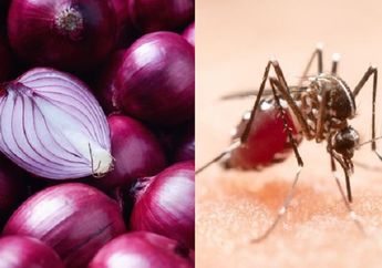 Coba Oleskan Bawang Merah pada Bekas Gigitan Nyamuk, Jangan Kaget dengan Hasilnya yang Terasa dalam Sekejap