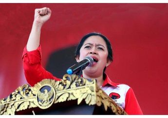 Puan Maharani Jadi Sorotan Usai Insiden Matikan Mikrofon, Putri Megawati Bongkar Alasannya pada Boy William, Ternyata Ini Faktanya