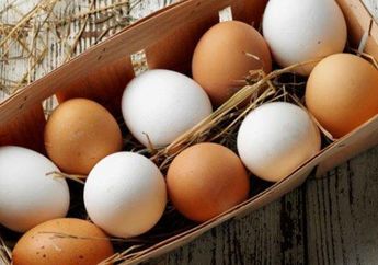 Jangan Sampai Keliru, ini Jenis Telur Ayam yang Boleh Dibekukan, Ternyata Tidak Boleh Sembarangan