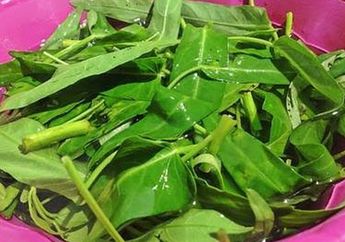 Wajib Tahu, Coba Minum Air Rendaman Kangkung yang Ampuh Mencegah Risiko Penyakit yang Mematikan