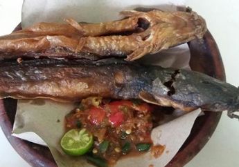 Benarkah Ikan Lele Disebut Sebabkan Kanker Karena Makan Kotoran Manusia? Berikut Penjelasan Faktanya Menurut Ahli