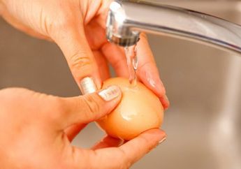 Jangan Lagi Cuci Telur Ayam Sebelum Disimpan, Ahli Ungkap Fakta Mengejutkan Soal Dampak Bagi Kesehatan Tubuh