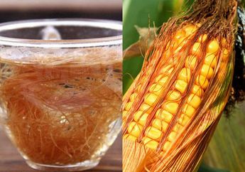 Cuma Rutin Minum Air Rendaman Rambut Jagung, Manfaatnya Ternyata Gak Main-main untuk Tubuh! Salah Satunya Lawan Kolesterol