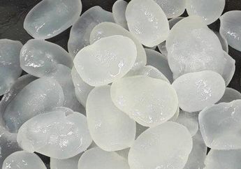 Lebih Dari Sekedar Minuman, Ternyata Kolang Kaling Punya Segudang Manfaat Tak Disangka-Sangka Bagi Tubuh