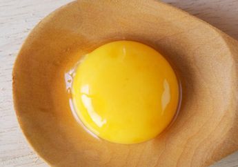 Sering Kali Dianggap Remeh, Ternyata Inilah Manfaat Luar Biasa Dari Kuning Telur, Sudah Tahu?