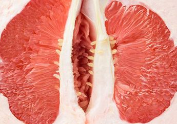 Tips Hidup dengan Vagina yang Sehat, Tolong Mulai Sekarang Jangan Lakukan Hal Ini Pada Area Intim, Nomor 4 Sering Disepelekan Tapi Efeknya Ngeri