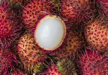 Khasiat Air Seduhan Biji Rambutan Sebagai Obat Alami Diabetes, Cukup 2 Kali Sehari Secara Rutin