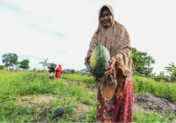 Seberapa Besar Risiko Perempuan dalam Kecamuk Perubahan Iklim?
