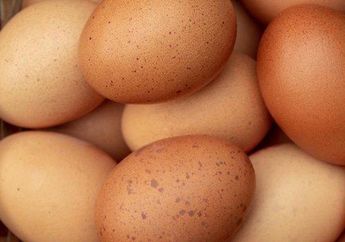 Sering Dianggap Sepele, Ternyata Masak Telur Ayam Seperti Ini Bisa Membahayakan Jantung, HATI-HATI