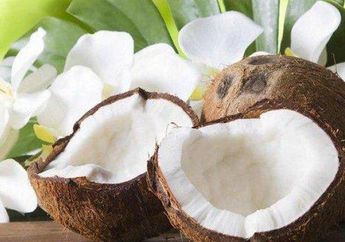 Jangan Cuma Minum Airnya Saja, Ternyata Daging Kelapa Bisa Jadi Obat Diet Alami Bagi yang Ingin Miliki Tubuh Ideal