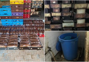 Ketahuan Simpan Bahan Baku di Tempat yang Dipenuhi Kotoran Tikus hingga Gunakan Air Mentah dari Toilet untuk Buat Adonan, Pabrik Roti Ini Ditutup