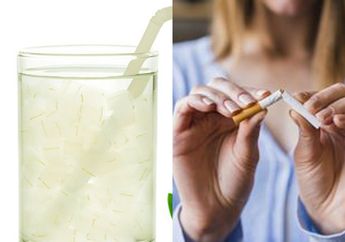 Gampang Banget! Ternyata Beginilah Cara Benar Membuat Jus Lidah Buaya yang Bisa Bersihkan Paru-Paru Perokok Aktif