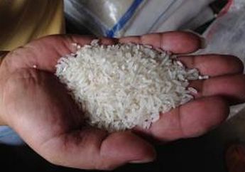 Dijual Murah di Pasaran, Beras dengan Ciri Ini Ternyata Tak Layak Makan! Bisa Bikin Seisi Rumah Masuk Rumah Sakit