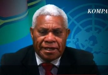 Alasan Vanuatu Vokal Soroti Pelanggaran HAM Papua di Sidang PBB, Tantowi Yahnya: Mereka adalah Orang Papua yang Merantau
