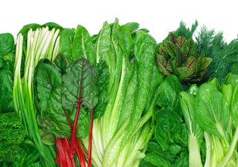 Waspada! Makan Sayur Saat Musim Hujan Ternyata Bisa Datangkan Bahaya Mengerikan, Begini Kata Ahli