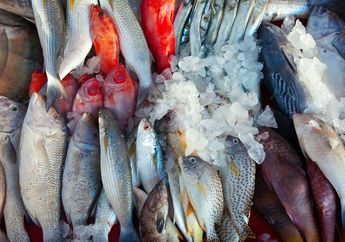 Sering jadi Menu Buka Puasa, Jangan Beli Ikan dengan Ciri-ciri ini, Bukannya Sehat Malah Bisa jadi Malapetaka!
