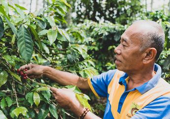 Libatkan Langsung Petani Lokal, Otten Coffee Hadirkan Program Bibit Untuk Indonesia