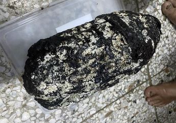 Ditemukan Tidak Sengaja, Batu Burik Ini Ternyata Harta Karun Tak Terduga Harganya Tembus Rp3 Miliar, Disebut Sebagai 'Emas Mengambang' Oleh Ilmuwan, Ini Kelebihannya!