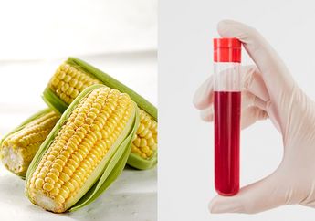Catat! Pemilik Golongan Darah O Disarankan Tak Lagi Makan Jagung, Efek Sampingnya Bisa Lebih Buruk dari Manfaatnya