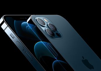 Update Harga HP Second iPhone 12 Pro Max 256GB September 2022
